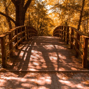 Krzysztof Jaworskibartoszpniewski.com